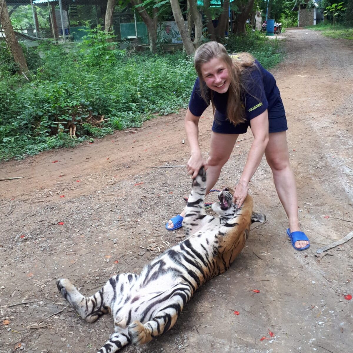 Thailand2 Scaled