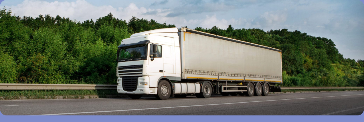 Ruptela truck on road Pro5S driver behavior monitoring eco driving CANbus data 3 axis accelerometer GNSS tracker use case